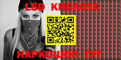 тгк Новозыбков