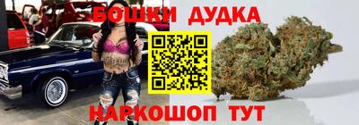 тгк Новозыбков