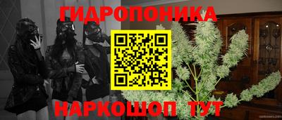 прущие крисы Новодвинск