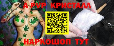 тгк Новозыбков