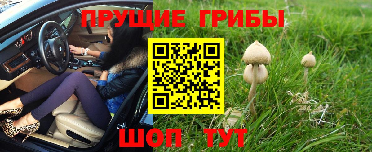 Псилоцибиновые грибы мухоморы  Вход с VPN  Псилоцибиновые грибы Psilocybe  Первоуральск 